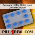 Kamagra 100Mg Gelée Orale Comment Utiliser 21